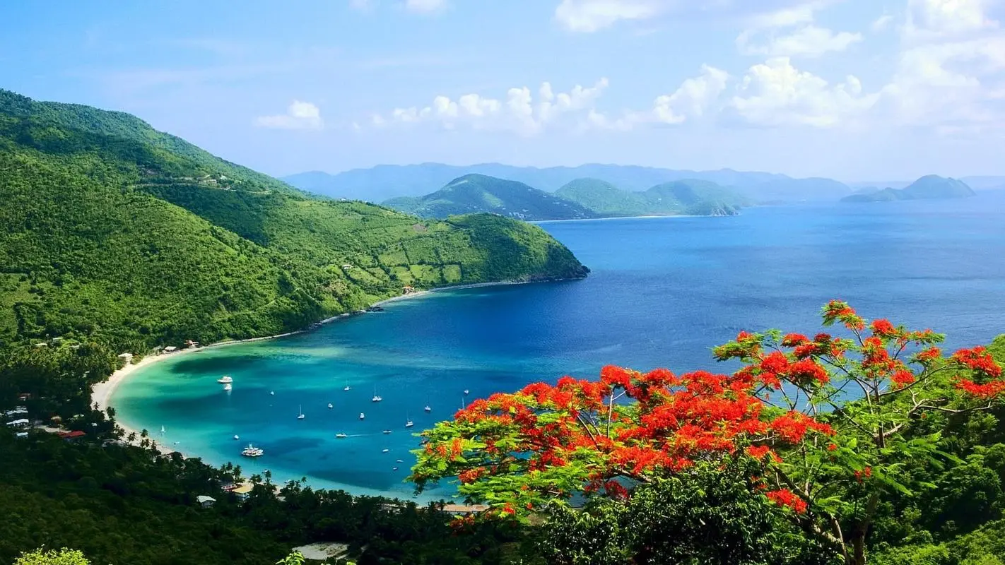 高性能智能化